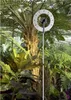 A thermometer placed in a greenhouse surrounded by lush green plants and ferns. Anteprima dell’immagine prodotto
