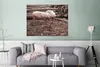 MuchoWow® Poster Schweine - Holz - Baum 120x90 cm - Produktbild-Vorschau 5