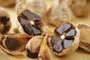 Hymor černý česnek 3 palice – black garlic ze Španělska, Náhled obrázku produktu 2