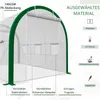 Tunnel-Gewächshaus, Treibhaus, Reißverschlusstüren, Produktbild-Vorschau 5