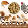 750 gr Soldatenfliegen getrocknet – Insektensnack Vögel Produktbild-Vorschau 2