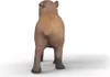 Capibara Anteprima dell’immagine prodotto 3