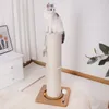 A cat is sitting on a cat scratching post in a room with a dresser and a plant. Produktbild-Vorschau