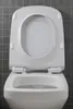 Duravit WC-Sitz DuraStyle mit SoftClose Scharniere Produktbild-Vorschau 32