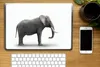 MuchoWow® Laptop Aufkleber Sticker Cover Elefant auf weißem Produktbild-Vorschau 2