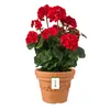 Blumentopf Blumenkübel Topf mit Muster ⌀ 30cm H: 23,5cm Produktbild-Vorschau 1
