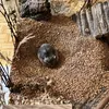 Schicker Mineral Hamsterglück Nussschalenstreu 3,5 kg Produktbild-Vorschau 7