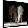 MuchoWow® MuchoWow® Gerahmtes Poster Pferde - Tiere - Apfel Produktbild-Vorschau 1