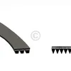 Europart Keilrippenriemen 1910 PJ 5 Bauknecht 481235818035 Produktbild-Vorschau 4