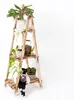 ECODECO Scaffale a gradini con aiuola rialzata, scala per Anteprima dell’immagine prodotto 11