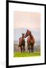 MuchoWow® MuchoWow® Gerahmtes Poster Pferd - Fohlen - Gras Produktbild-Vorschau 1
