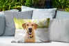 MuchoWow® Outdoor Kissen - Labrador Retriever draußen - Produktbild-Vorschau 4
