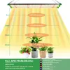 A diagram showing the light intensity of a grow light at different distances from the plants, with plants shown below. Produktbild-Vorschau