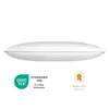 Kussen 30 x 50 cm, vulling van 100% dons en veren, hoes van Productafbeelding-voorbeeld 11