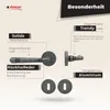 DOMINO Türgriff Drückergarnitur BB-Buntbart| Rund Rosette | Produktbild-Vorschau 8