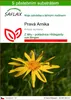 SAFLAX - Pravá Arnika - Arnica montana - 40 Semena - S Náhled obrázku produktu 1