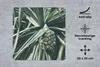 MuchoWow® Mauspad Mousepad Kaktus - Tropisch - Grün 20x20 Produktbild-Vorschau 2