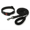 Hundehalsband und Elastische Hundeleine Set, 1,2m, Produktbild-Vorschau 9