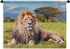 MuchoWow® Wandteppich Wandbehang Löwe - Savanne - Afrika Produktbild-Vorschau 1