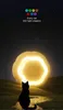 RAIKOU Power Smart Ball f??r Katzen,  interaktives Produktbild-Vorschau 4