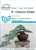 Artikelbild 1 von 'Libanon Zeder' aus der Kategorie Bonsaisamen Anteprima dell’immagine prodotto