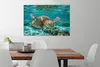 MuchoWow® - Leinwandbilder - Eine Schildkröte schwimmt Produktbild-Vorschau 4