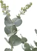 Bloomique - Zestaw 2 szt. - Eucalyptus Gunnii Azura - Podgląd zdjęcia produktu 3