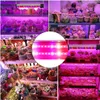 A collage of images showing LED grow lights illuminating various potted plants, with a close-up of the light strip itself. Náhľad obrázku produktu