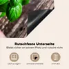 KitchenYeah© Herdabdeckplatte Basilikum-Pflanzen , 81x52cm, Produktbild-Vorschau 5