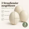 3 natürliche Straußeneier Deko-Eier, entleert, gereinigt & Produktbild-Vorschau 2