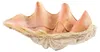 Light & Living Dekorationsobjekt Muschell Shell Taupe Produktbild-Vorschau 2