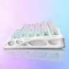 A side view of a white mechanical keyboard with clear keycaps, set against a gradient background of pink and blue. Produktbild-Vorschau