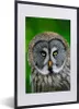 MuchoWow® Gerahmtes Poster Vogel - Eule - Tiere - Braun - Produktbild-Vorschau 1