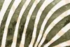 A close-up view of a carpet with a zebra-like pattern. Náhľad obrázku produktu