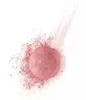 Bourjois Fard in barattolo rotondo n. 33 Lilas d'Or, 2,5 g Anteprima dell’immagine prodotto 5