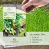 Schnittknoblauch Samen - Küchenkräuter Saatgut aus Produktbild-Vorschau 2