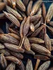 Anis (ganz) - Anissamen - Anistee - Anis Saat - Gewürz - Produktbild-Vorschau 3