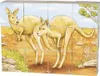 goki 57418 kostka australijskie zwierzęta 14 x 10,5 x 3,5 Podgląd zdjęcia produktu 2