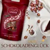 Lindt Lindor Kugeln Vollmilch Double Chocolate 1kg Produktbild-Vorschau 7