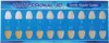 Strisce sbiancanti per denti Whit Strips Sbiancamento dei Anteprima dell’immagine prodotto 4