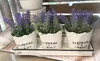 FLOWERS & GARDEN Set aus 3 Übertöpfen und einer Schale aus Produktbild-Vorschau 2