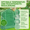 TTL GARDEN Foliengewächshaus 195x143x73cm – 6 Etagen grün Produktbild-Vorschau 3