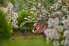 Gardena 13302-20, Tropfer, Tropfbewässerungssystem, Produktbild-Vorschau 5