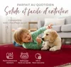 carpetfine Tapis de laine Gabbeh Uni Rouge 60x90 cm | Tapis Voir les images du produit 5