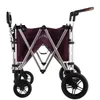 FUXLIFE by FUXTEC Bollerwagen FX-CTL900 Purpur - Premium Produktbild-Vorschau 20