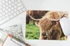 MuchoWow® Mauspad Mousepad Schottische Highlander - Tiere - Produktbild-Vorschau 5