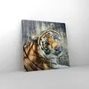 Bild auf Leinwand - Leinwandbild - Indien stein tiger wild Produktbild-Vorschau 4