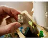 Lego Ideas 21335 Motorized Lighthouse Anteprima dell’immagine prodotto 16