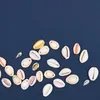 Rico Design Muschelperlen 2 Bohrungen 10 Stk 11x18x7 mm Produktbild-Vorschau 4