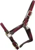 Kentucky Horsewear Stallhalfter Plaited Nylon Halfter Produktbild-Vorschau 7